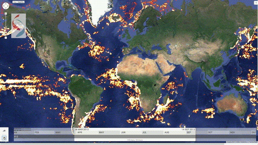 Global Fishing Watch