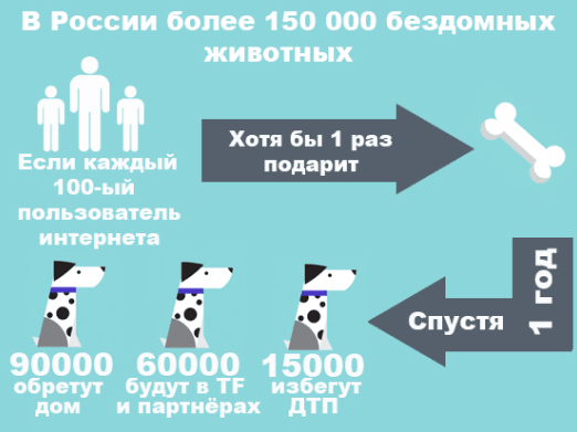 Инфографика проекта Teddy Food