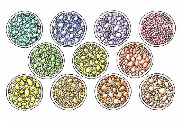 Culturing of zentangled bacteria. Изображение: vinyleraser.
