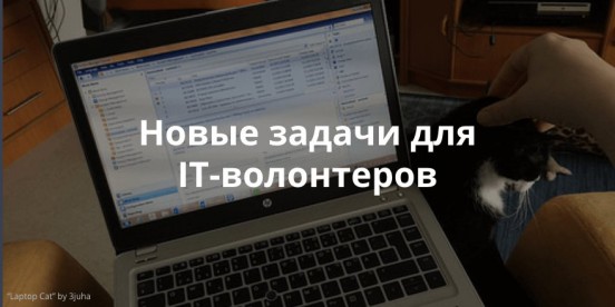 Помогите разработать дизайн приложения «Армия и закон». Обзор заявок на сайте IT-волонтер