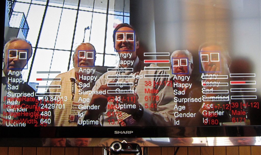 FindFace для рыб: экологи объявили конкурс на распознавание изображений для спасения акул
