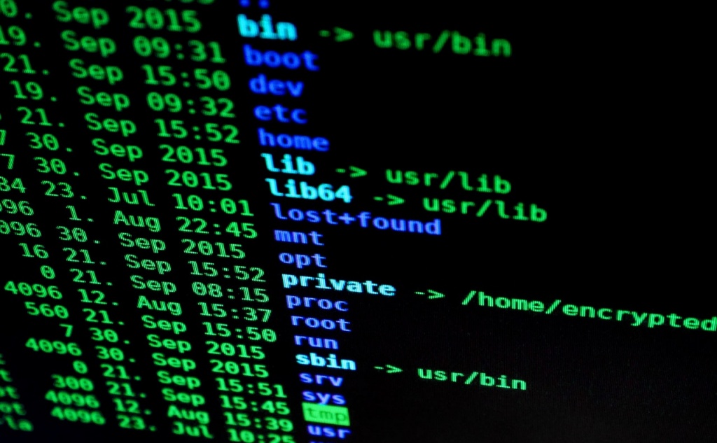 передаваемой информации и ее целостность. Изображение с сайта pexels.com (СС0).