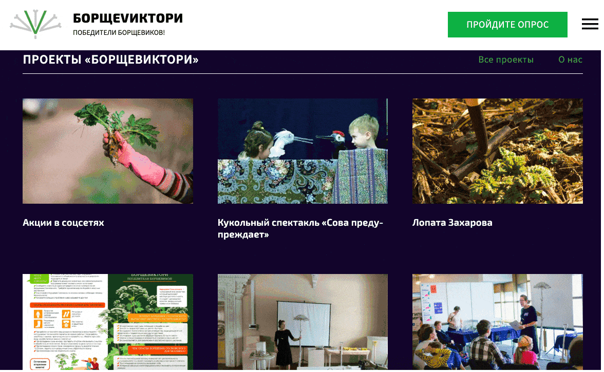 Фрагмент сайта экопроекта БорщеVictory. Сайт создан Мариной Шайкиной на одной из мастерских