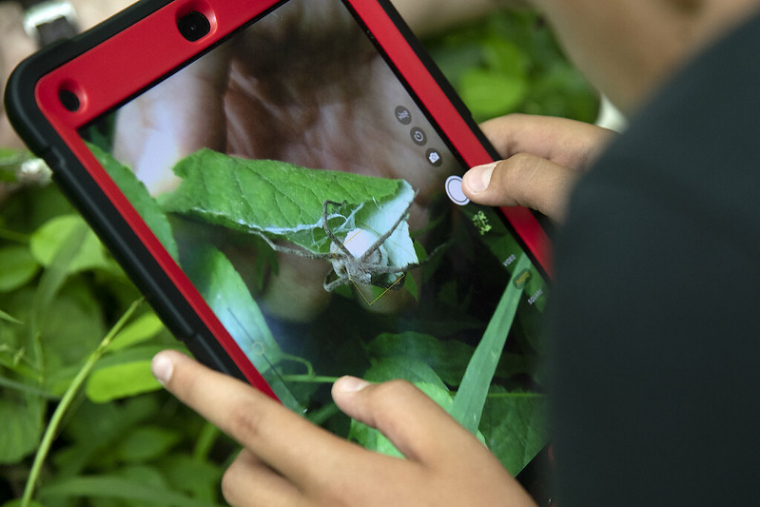BioBlitz
