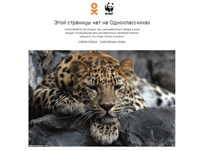 WWF и Одноклассники создали «редкую страницу»