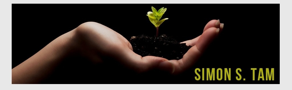 Фрагмент интерфейса сайта Organic Marketing